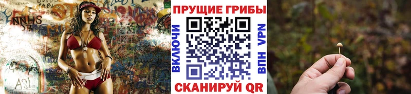 Купить закладки Грайворон Псилоцибиновые грибы GOLDEN TEACHER